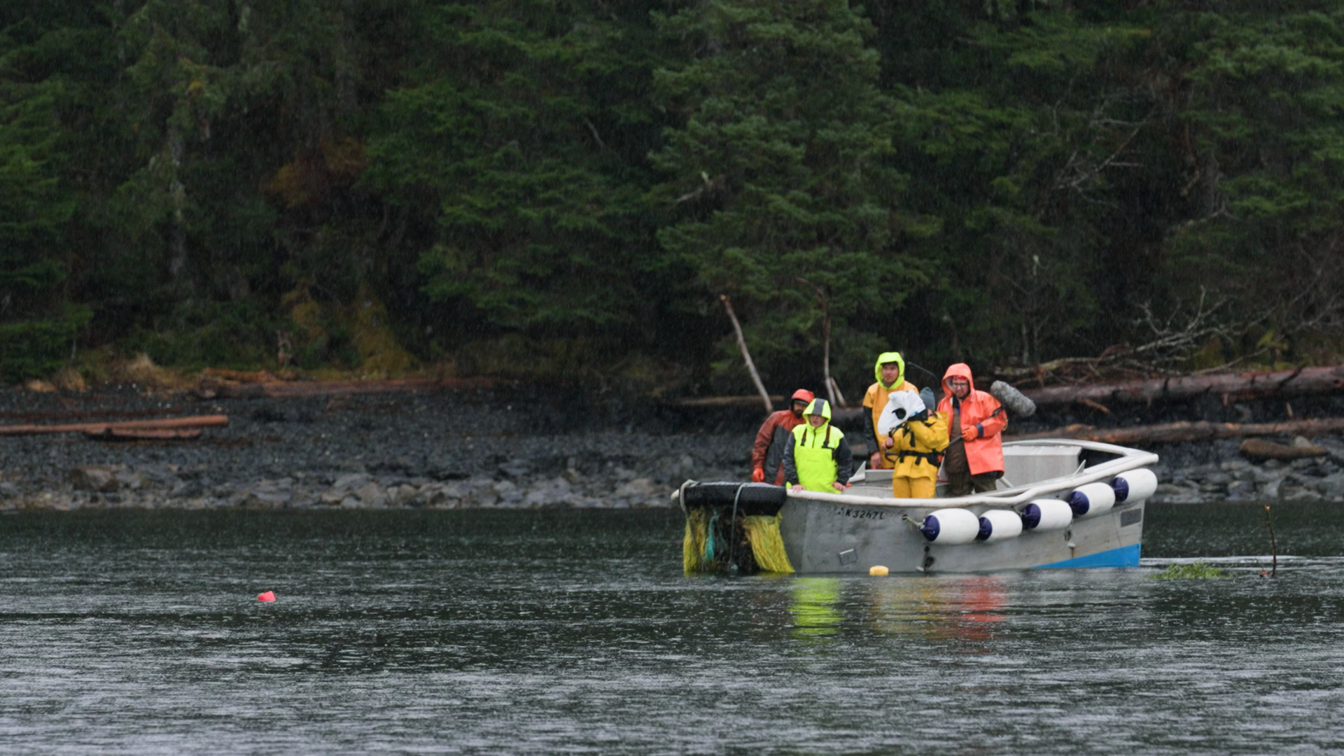 Frostline-Studios_Filming in Sitka Alaska Filming herring egg harvest in Sitka, Alaska in the pouring rain.