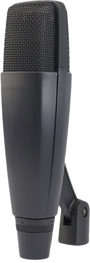 - Frostline Studios Audio Equipment Sennheiser MD421 - Frostline Studios - Studio A Gear