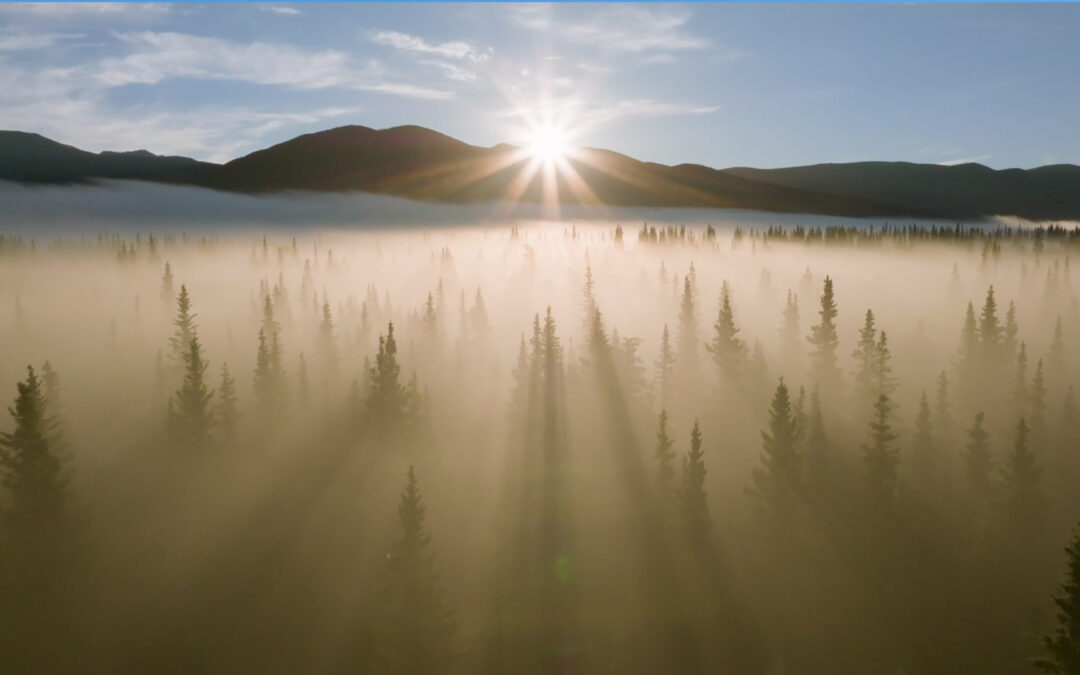 Frostline Studios Reel