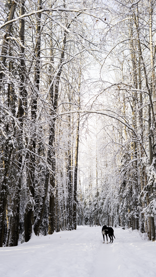 creativity - Frostline Studios photo by Hannah Pratt - Frostline Studios - Tips for Staying Creative When the Days Get Darker